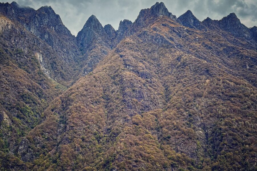 26.10 | Libri in cammino